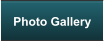 Photo Gallery